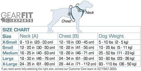 Kurgo Dog Arnness para cães médios, e pequenos cães ativos, arnês para caminhada para correr e caminhar, arreios diários