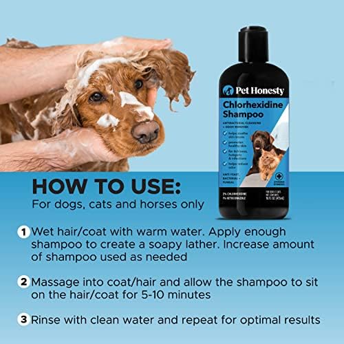 PETHONETY CLORHEXIDINE SHAMPOO - Cetoconazol & Aloe for Dogs & Cats - Ajuda coceira, pontos quentes, pyoderma e alergias,