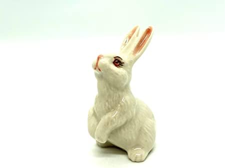 SSJSHOP Bunny Rabbit Miniature Dollhouse Figuras