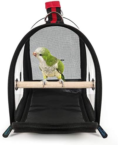 Transportador de pássaros leve do dia de colorida, produto patenteado de papagaio de gaiola de gaiola de viagens de pássaro