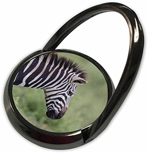 3drose Burchells Zebra, Ngorongoro Crater, Tanzânia, África. - Toque de telefone