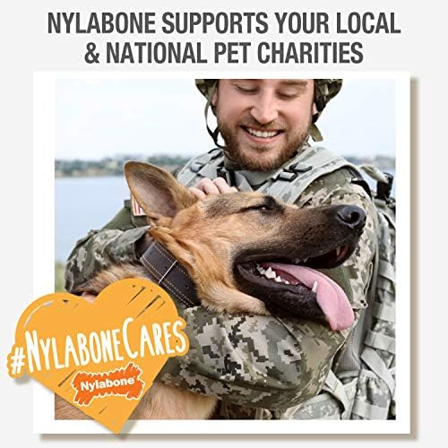Power de nylabone mastigar o osso de cachorro em forma de xeve bone bone bone bone pequeno/regular