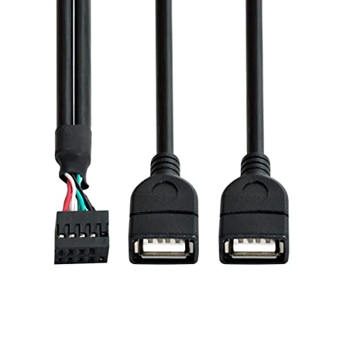 Lionx 50cm 10pin Placa -mãe Cabeçalho feminino para cabo de adaptador USB 2.0 duplo