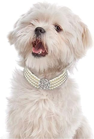 Mostro de estoque Pet Pet Pearls Collar Colar Colar Dogs Bling Jóias Colares com strass rosa Flores de rosas Pingente