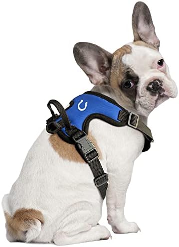 Littlearth Unissex-Adult NFL Indianapolis Colts Front Clip Pet Churness, Team Color, X-Small