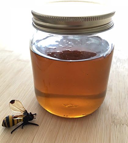 Jarra de mel de vidro redondo de 6 de Nutley 1lb/454ml