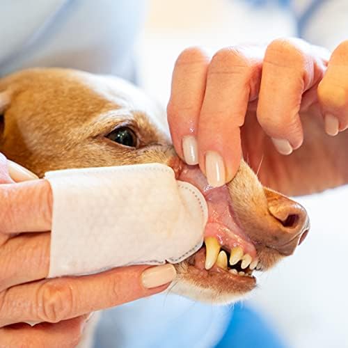 JAX & CALI Pet Toothbush Toilys, todos os lenços dentários texturizados naturais, cuidados bucais holísticos para animais de estimação,