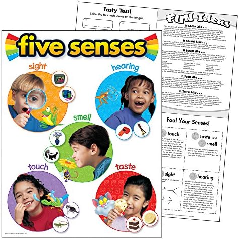 Trend Enterprises, Inc. Five Senses Learning Chart, 17 x 22