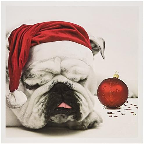 3drose dormindo bulldog em um cartão de natal chapéu de santa foto cortesia de Esther Matheus - cartões de felicitações, 6