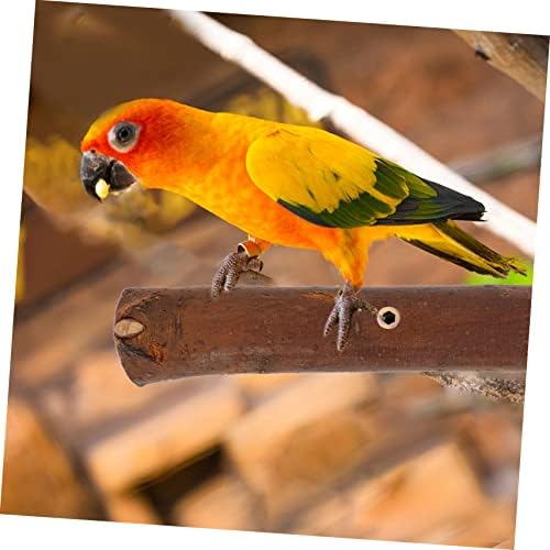 IPLUSMILE 2PCS Parrot Stand Toys for Birds Bird Cage Toys Wiggles Toys Parrot Wood Stand Treinando Parrot Playstand Parrot Polas Polas