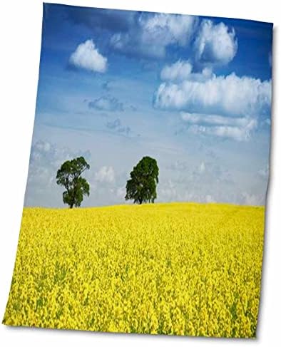 3drose Florene Country Life - Campo de campo amarelo com céu azul - toalhas