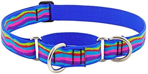 Martingale grande colarinho de cachorro por Lupin 1 Wide Ripple Creek Design Ajusta 19 a 27