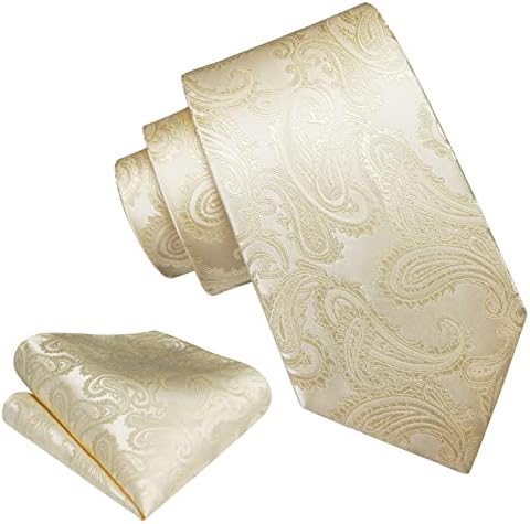 HISDERN PAISLEY laços para homens lenços de gravata sólidos Lençóis florais da gravata e bolso quadrado conjunto de