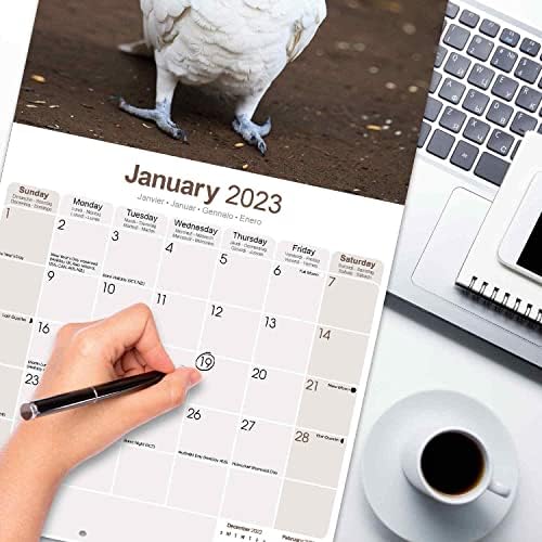 Calendário de cacatos 2023 - calendário mensal de parede 2022-2023 - 12 x 24, calendário de parede com feriados e fases da