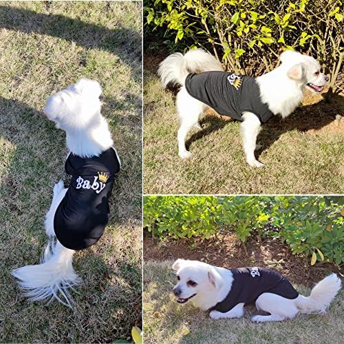 Camisas de cachorro e dono combinando mulheres, camisas de cachorro da família imprimem roupas de roupas de animais de estimação de
