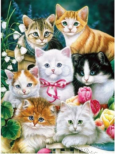 Kits de pintura de diamante de gato para adultos - kits de arte de gato de diamante 5D, pintura de diamante completa ， Gem Arts e Ofícios para Iniciantes Crianças Decoração de Parede da Casa 16 x 12 polegadas
