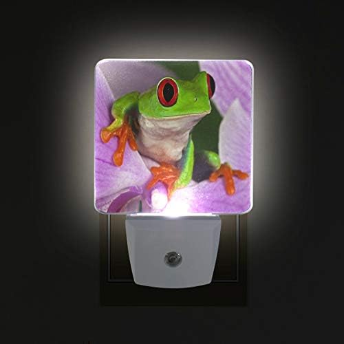 2 plug-in plug-in LED Night Lights com sapo luz noturna com entardecer para o Dawn Sensor Luz branca perfeita para cozinha e corredor do banheiro Conjunto 2