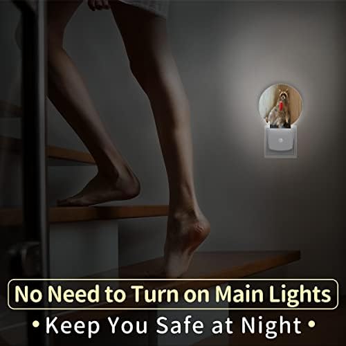 Uoyo engraçado Raccoon Drink Night Light Plug na parede Animal fofo Led Nightlights Auto Smart Dusk to Dawn Sensor