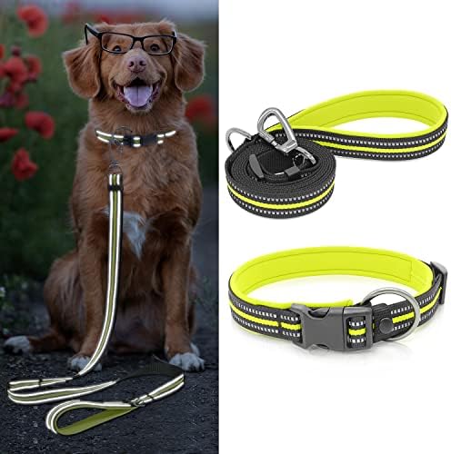 Domagiker Reffortive Dog Colar e Leash Set - Nylon Dog Collar acolchoado com neoprene macio, colares básicos para cães para cães