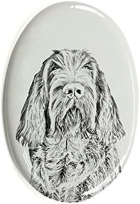 Spinone italiano, lápide oval de azulejo de cerâmica com uma imagem de um cachorro