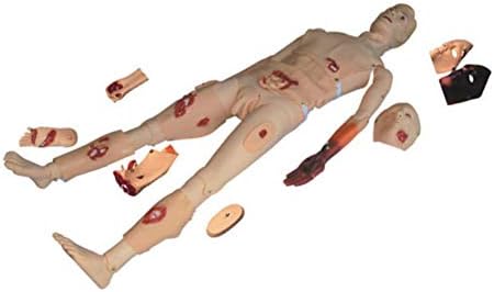 GHDE & MD Combinação básica de enfermagem Manikin Ferida simulada, Modelo Humano Anatômico de Primeiros Soces para
