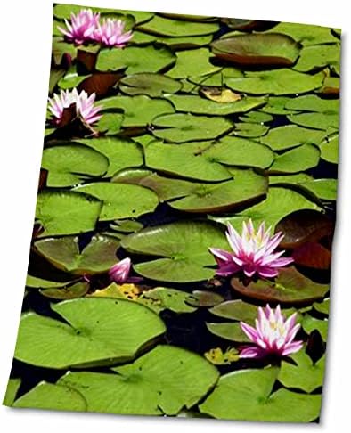 Plantas de florene 3drose - lírios - toalhas