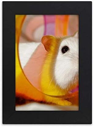 Diythinker White Rat Animal Pet Toys Toys Desktop Photo Frame Picture Exibir Pintura de arte Exposição