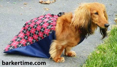 Larcro - Feito nos EUA - Red Argyle Dog Drag Bag, XS para animais de estimação paralisados