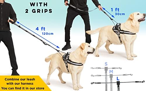 Coloque de cachorro com 2 pontos de fixação para evitar sufocar seu cachorro. Ideal para conectar -se ao nosso colar e nosso arnês