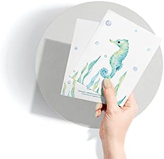 Papel de galhos - cartões de nota com temas do oceano - conjunto de 12 cartões em branco com 12 envelopes - artigos de papelaria