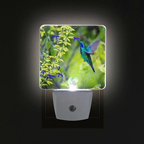 NAANLE Conjunto de 2 bela flor de beija -flor verde violeta e alimentação floral floral em um sensor automático de bosques verdes, Dusk Led Dusk To Dawn Night Light Plug in Indoor for Adults