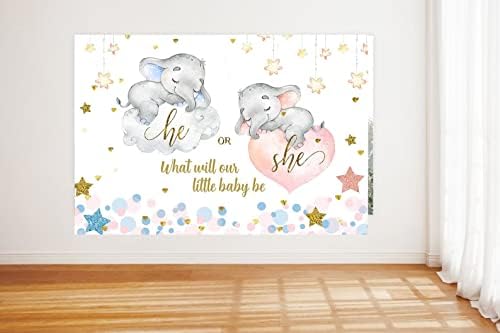 Ele ou ela ou ela, elefante revela o pano de fundo nuvem e estrelado o que nosso bebê será menino ou menina Baby Background