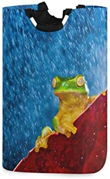 Yyzzh Green Tree Frog na folha vermelha em Rain Jungle Animal Lavanderia Bolsa de bolsa de cesta de cesta colapsável Poliéster Raunda Roupa dobrável Bolsa dobrável Lavagem de lavagem