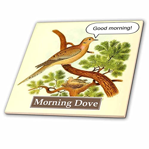 3drose Good Morning - Funny Mourning Dove trocadilho - Humor de pássaros tocam em palavras - azulejos