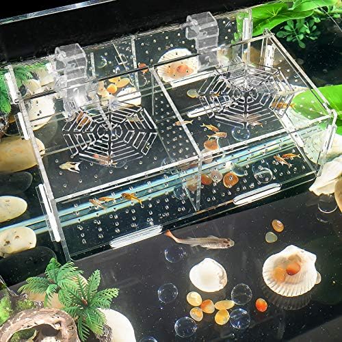 Caixa de isolamento de reprodução de aquário Hamiledyi