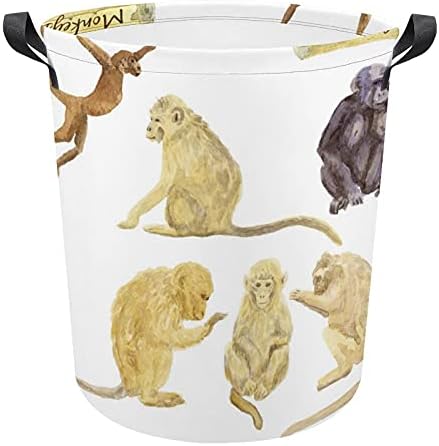 Macaco no fundo de fundo branco Saco de roupa com alças cesto de armazenamento à prova d'água redonda dobrável 16,5 x 17,3 polegadas