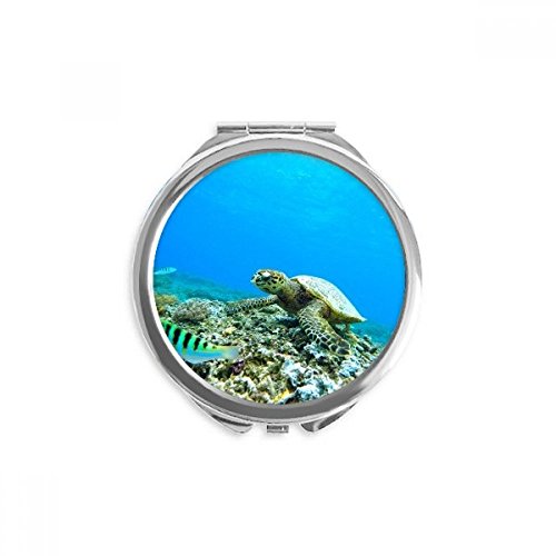 Ocean Sea Turtle Fish Science Nature Picture Hand Compact espelho redondo vidro portátil de bolso