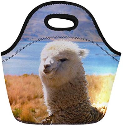 Coloranimal reutilizável neoprene lanchonete bolsa de sacola engraçada design alpaca design térmico lancheira térmica