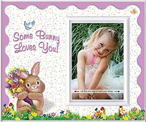 Algum coelho te ama a estrutura da coelhinha da Páscoa | Quadro de imagem de primavera brilhante e colorido perfeito para