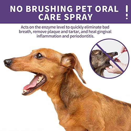 XBKPLO CAT BRIEDADE SUBRIMENTO, PET PET LIMPO DE DENTES SPRIMENTO DE CANTRING para cães e gatos, dentes de limpeza oral de spray