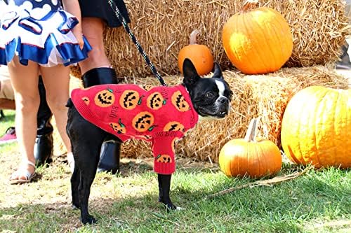 Veículo cachorro gato sweater sweater cão halloween fantasia de pet halloween gúmula de golau -deco