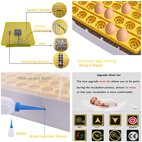 Incubadora de ovos, máquina de eclosão de aves digitais totalmente automática, controle de temperatura e controle de umidade