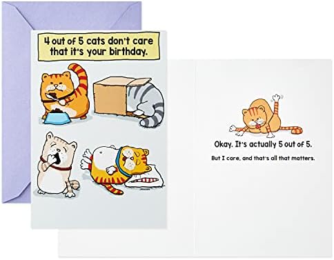 Hallmark Shoebox Pack de 2 cartões de aniversário engraçados