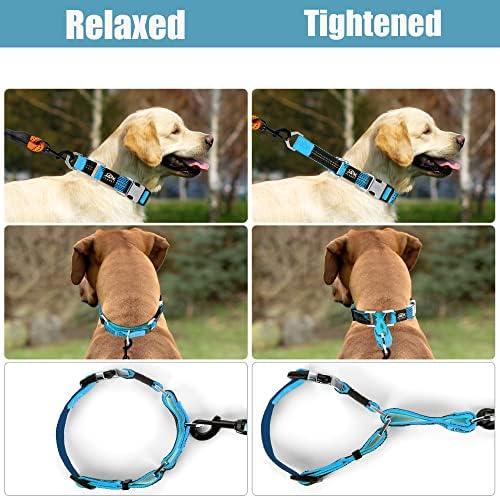 Colar de martingale colorido para treinamento de cães -[neoman] colarinho de cachorro refletivo seguro e humano para treinamento