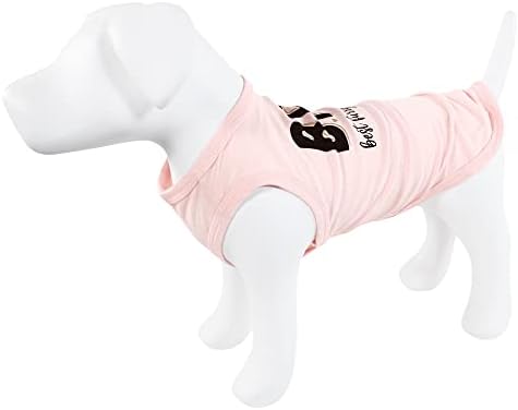 Amigos Luvable Dog Dog e gatos de algodão camisetas 2pk, bff houndstooth, médio