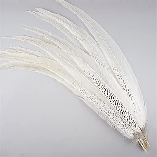 10-80cm 4-32 Formada de faisão de prata natural penas de cauda para artesanato decorações DIY Big Lady Amherst White Silver