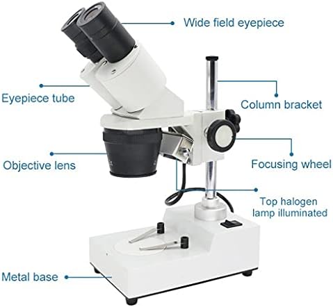 Microscópio estéreo binocular WSSBK Binocular Iluminação LED top Industrial LED Ferramenta de reparo de soldagem de PCB de PCB Ferramenta