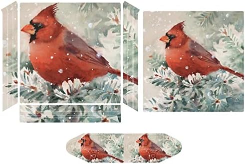 Winter Cardinal Bird Birt Cute