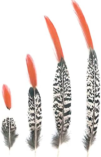 Ttndstore Lady Natural Amherst Pheasant Feathers para jóias de 5-30cm/2-12 Jóias que fazem carnaval de casamento Plumes