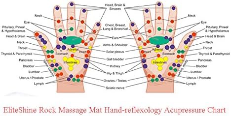 Reflexologia Mussa de massagem Fique em casa Cuidados de saúde Exercício de jardim de jardim de ioga Mat Pais do Dia